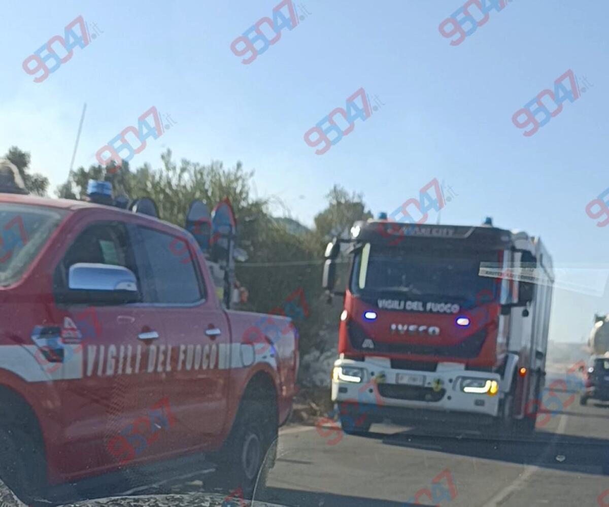 Incendio di sterpaglie sulla provinciale 229/1 tra Palazzolo e Valcorrente - 