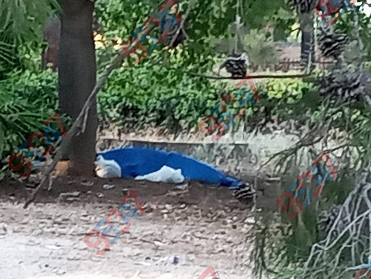 Paternò, nuova segnalazione di uomo che dorme all’aperto nel parchetto vicino al Liceo Scientifico - 