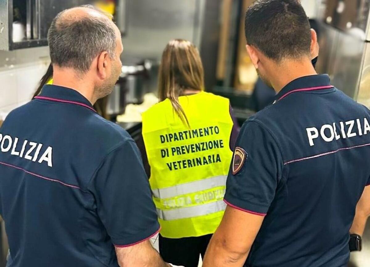Catania, irregolarità nei ristoranti di Ognina: lavoro nero e pesce congelato spacciato per fresco, gamberi da 56 rivenduti a 80, scampi da 22,50 a 70 e tonno giallo venduto per rosso - 