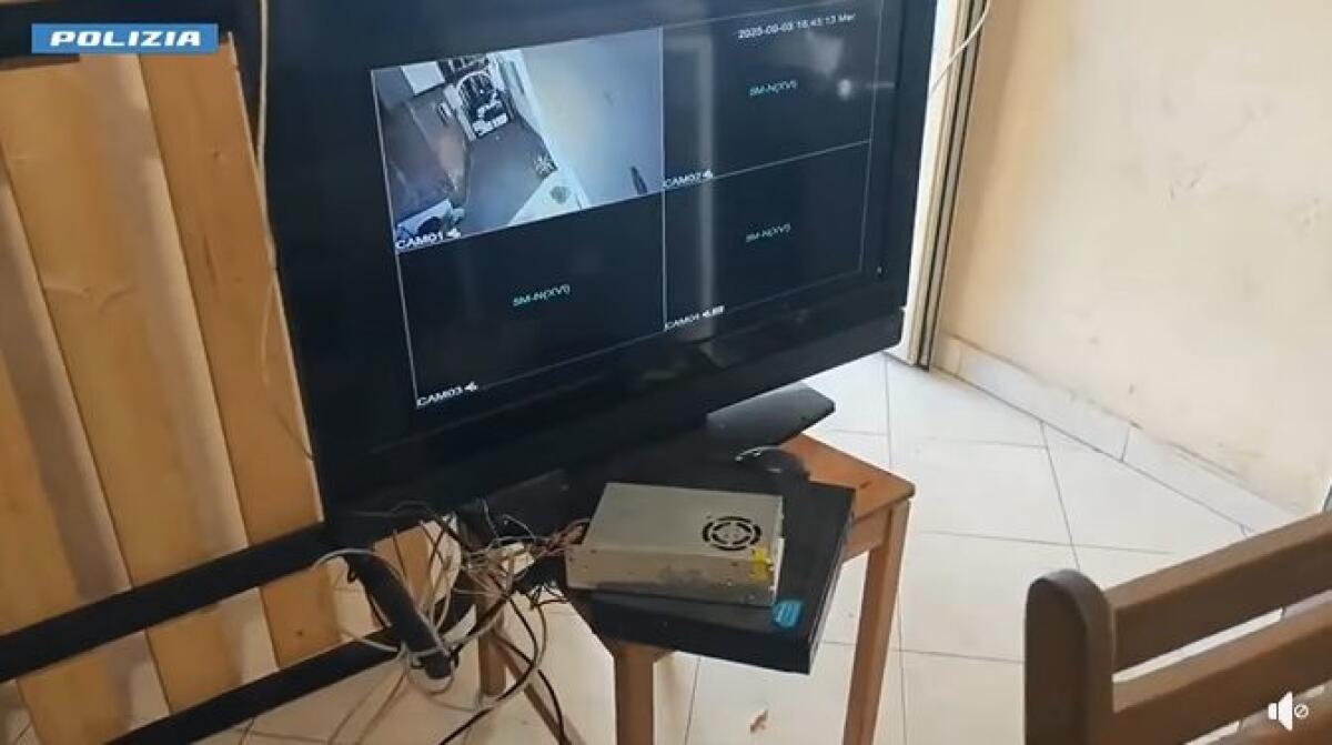 Catania, controlli straordinari a San Cristoforo: sequestrati cavalli e auto senza assicurazione - 