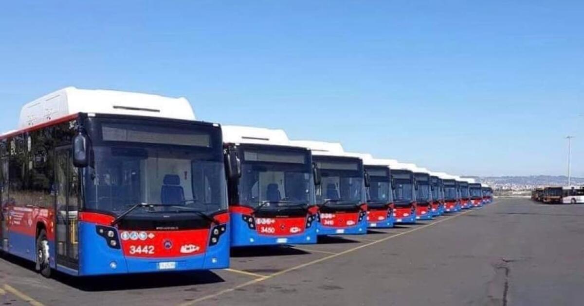 Catania, panico sul bus: 64enne prende a pugni l’autista durante la corsa. Denunciato per lesioni e interruzione di pubblico servizio - 