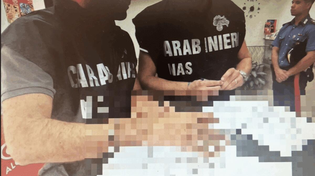 Bronte, raffica di sanzioni a bar e pasticceria: 5.000 euro di multe dai NAS - 