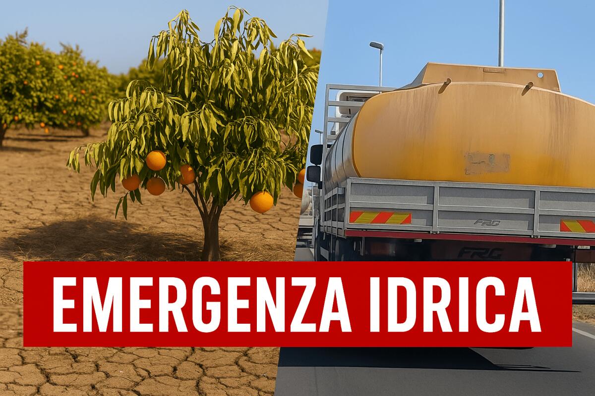 Emergenza idrica negli agrumeti: agricoltori costretti a trasportare acqua a proprie spese - 