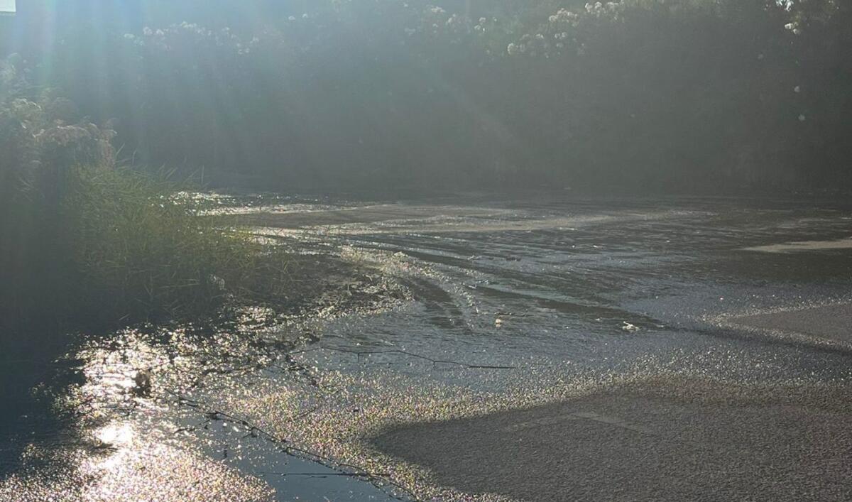 Paternò, acqua che scorre da mesi alle Salinelle vicino al campo “Falcone Borsellino” - 