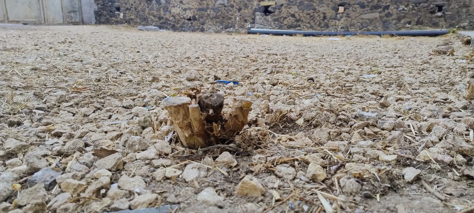 Paternò, ancora disagi per i piccoli alunni: stop alle lezioni al plesso Mons. Bellia dopo un guasto alle tubature