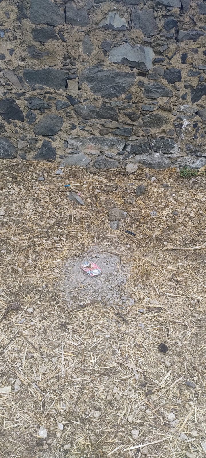 Paternò, ancora disagi per i piccoli alunni: stop alle lezioni al plesso Mons. Bellia dopo un guasto alle tubature