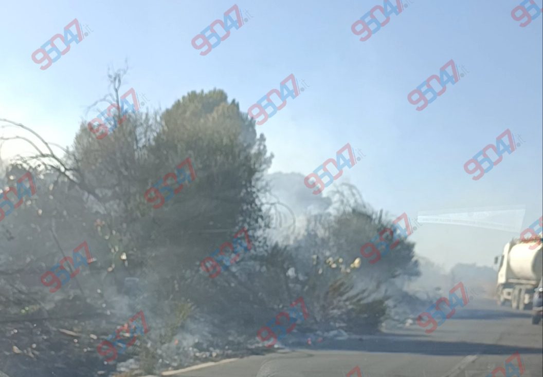Incendio di sterpaglie sulla provinciale 229/1 tra Palazzolo e Valcorrente