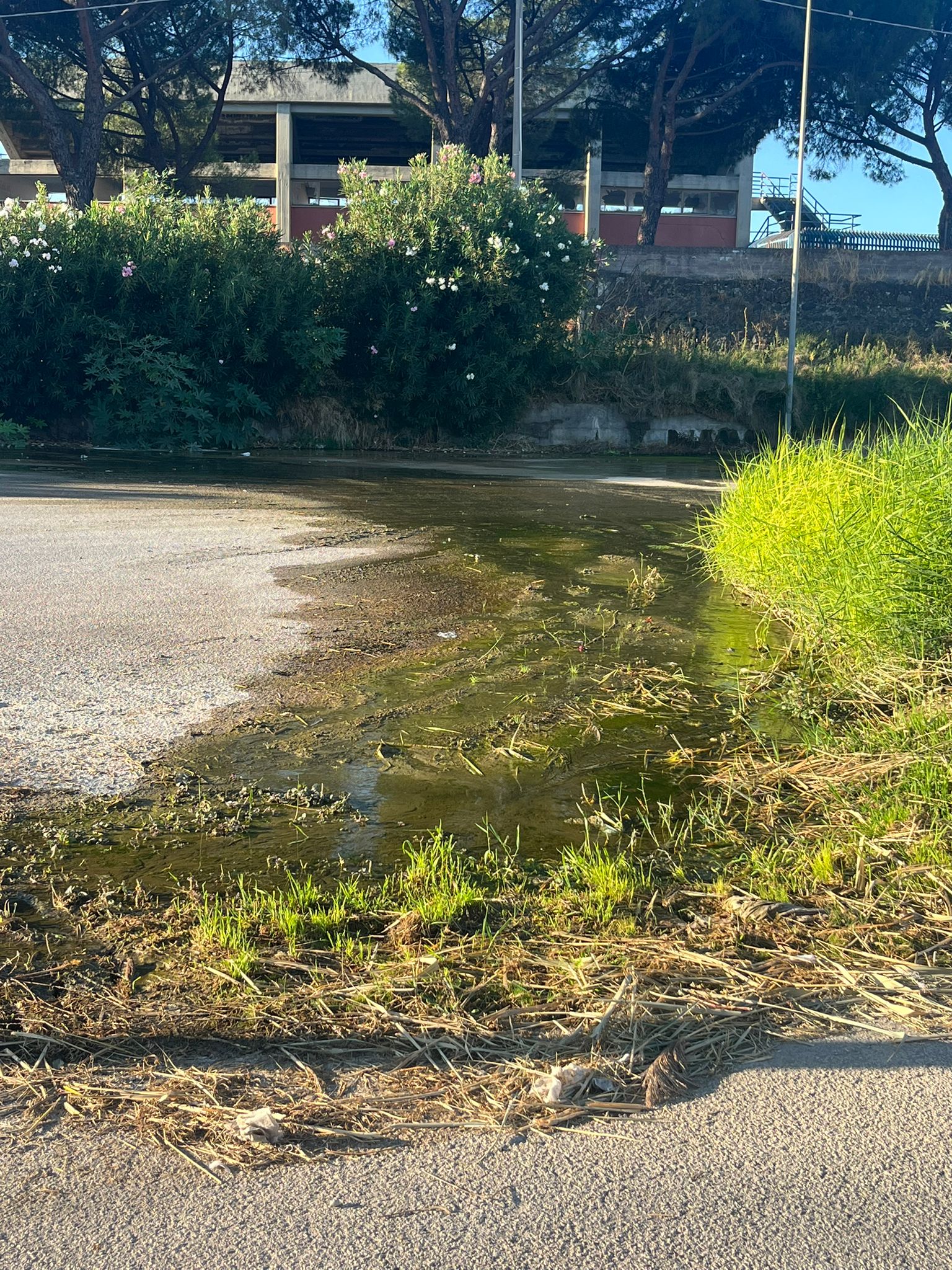 Paternò, acqua che scorre da mesi alle Salinelle vicino al campo “Falcone Borsellino”