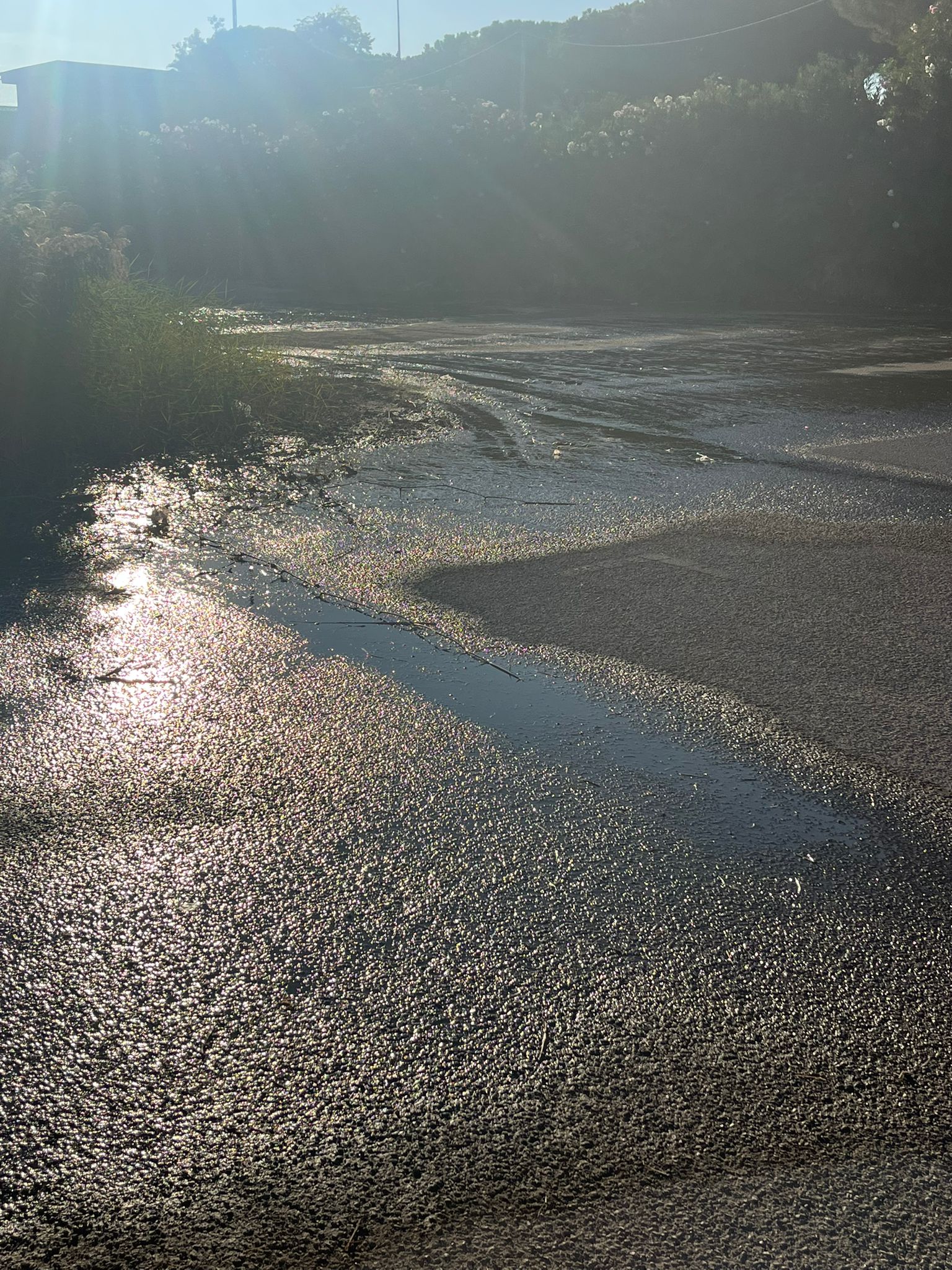 Paternò, acqua che scorre da mesi alle Salinelle vicino al campo “Falcone Borsellino”