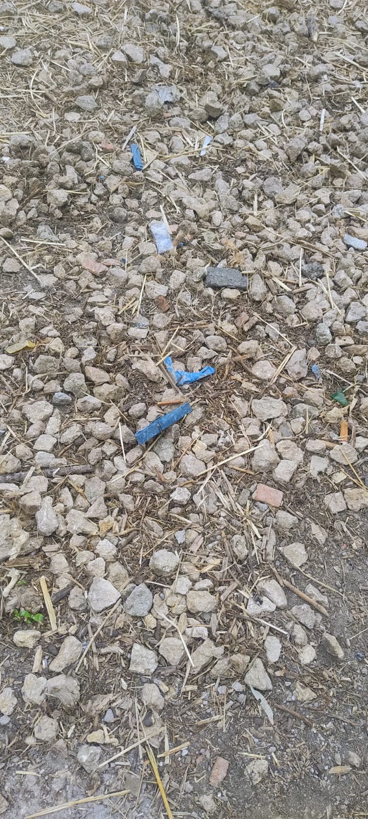 Paternò, ancora disagi per i piccoli alunni: stop alle lezioni al plesso Mons. Bellia dopo un guasto alle tubature