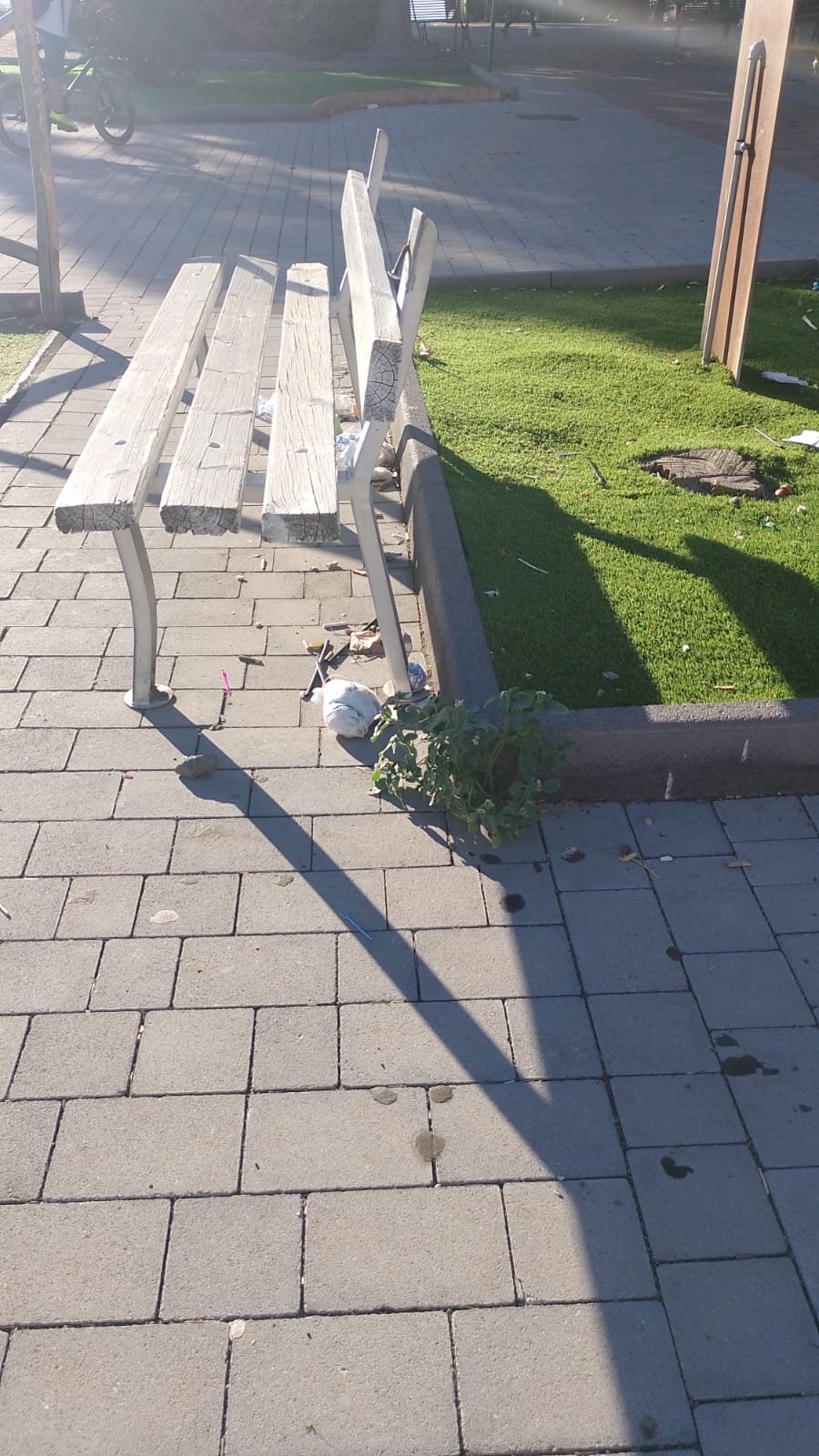 Santa Maria di Licodia, spazzatura nella villa comunale: la denuncia di una residente