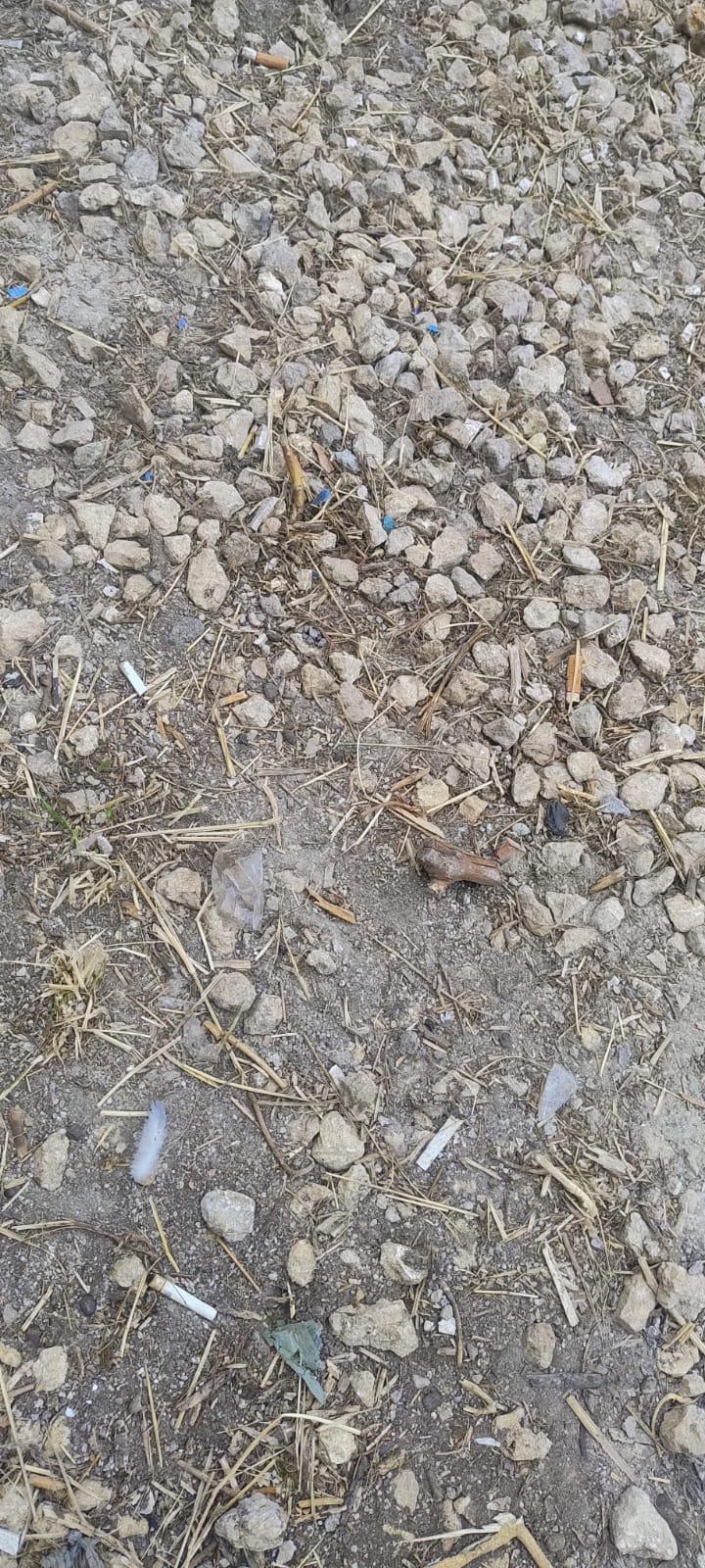 Paternò, ancora disagi per i piccoli alunni: stop alle lezioni al plesso Mons. Bellia dopo un guasto alle tubature