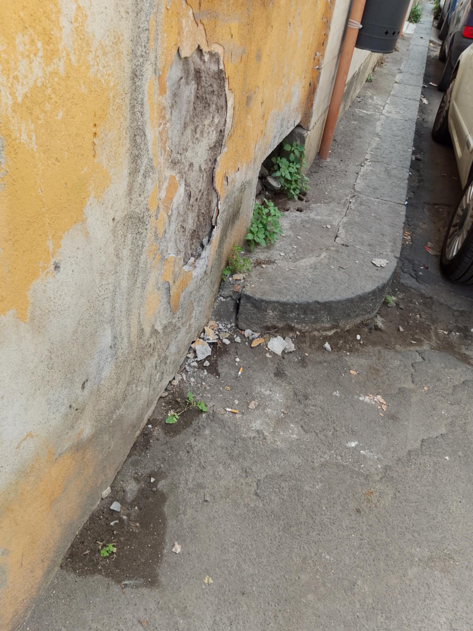 PATERNO'. Scuola via Vulcano, tra feci di animali e marciapiede rotto: la segnalazione delle mamme