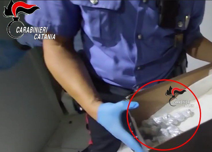 Maxi-sequestro a Catania: oltre 12 kg di droga nascosti in un monolocale, colpo da 200 mila euro alla criminalità