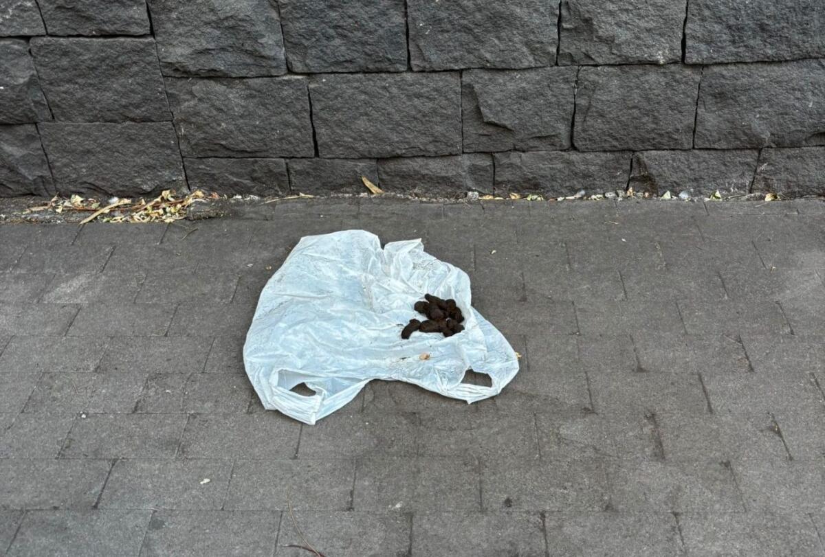 Paternò, riflessione di un cittadino: “Mi vergogno per chi sporca la città e per chi non la pulisce” - 