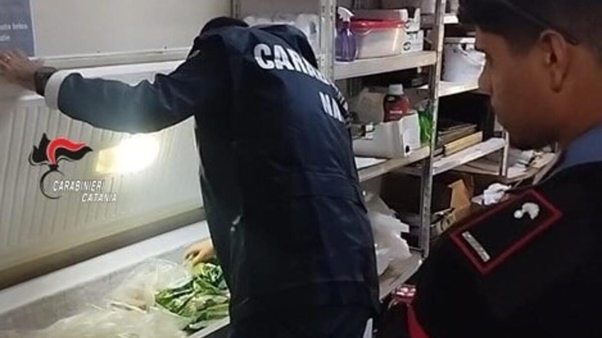 Blitz dei Carabinieri a Bronte: sequestrati 2.350 kg di pistacchio senza documenti - 
