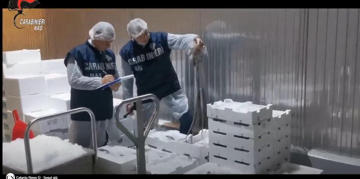 Maxi sequestro a Catania: 110mila kg di pesce mal conservato e 900mila kg di succo con etichette irregolari - 