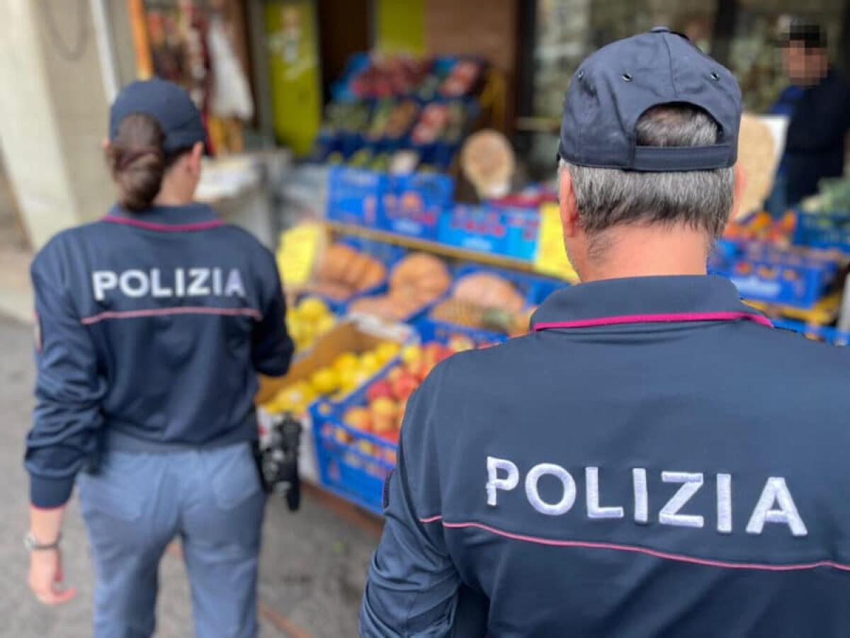 Viagrande, blitz in un bar-ristorante: sequestrati 45 chili di alimenti non idonei al consumo umano - 