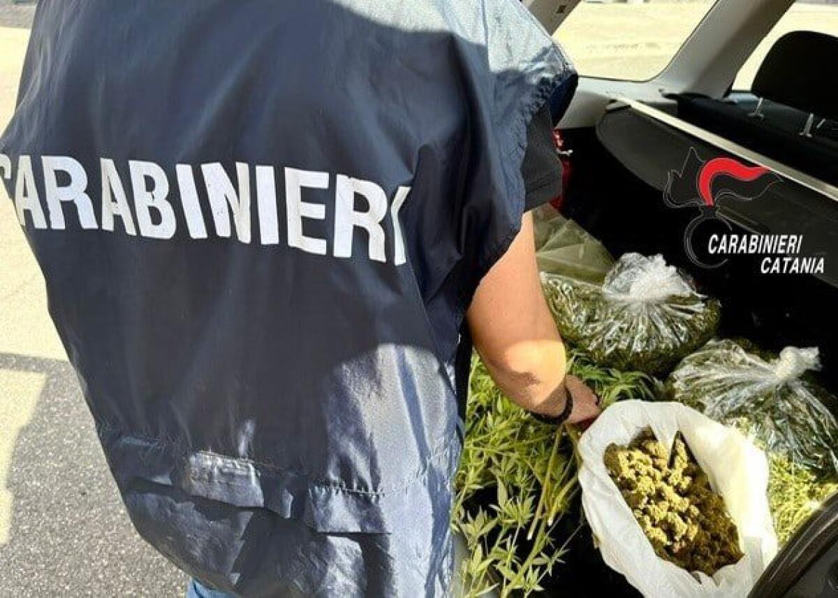 Belpasso: 40enne arrestata, sequestrati quasi 2 kg di marijuana - 