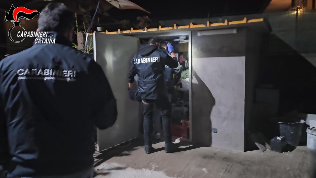 Misterbianco, finti finanzieri assaltano casa di un imprenditore davanti alla figlia di 16 mesi: i nomi dei 7 arrestati - 