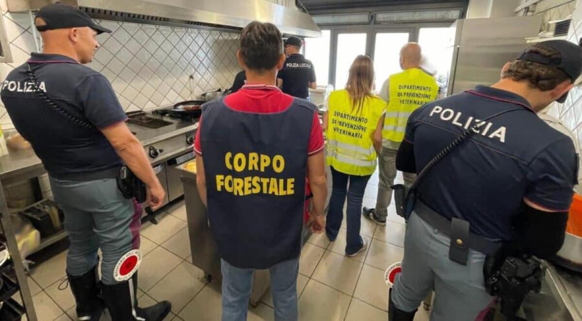 Maxi controlli a Catania: task force scopre irregolarità in wine bar e ristoranti del centro - 