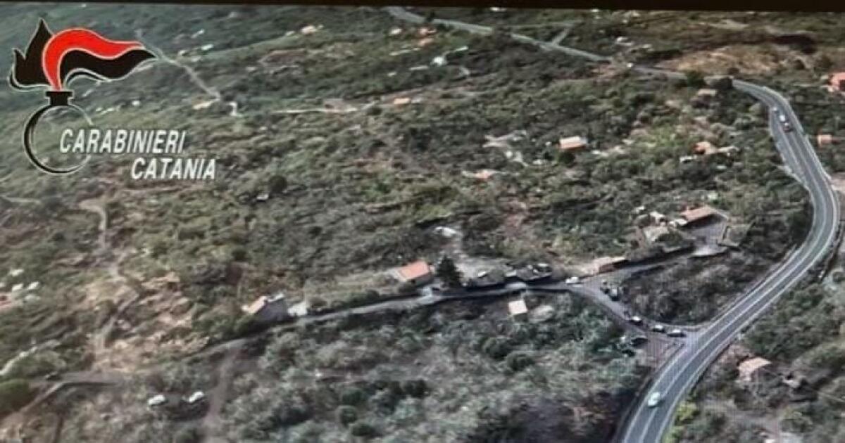 Maxi operazione sul pistacchio di Bronte: irregolarità in 3 imprese agricole e sequestri di alimenti - 