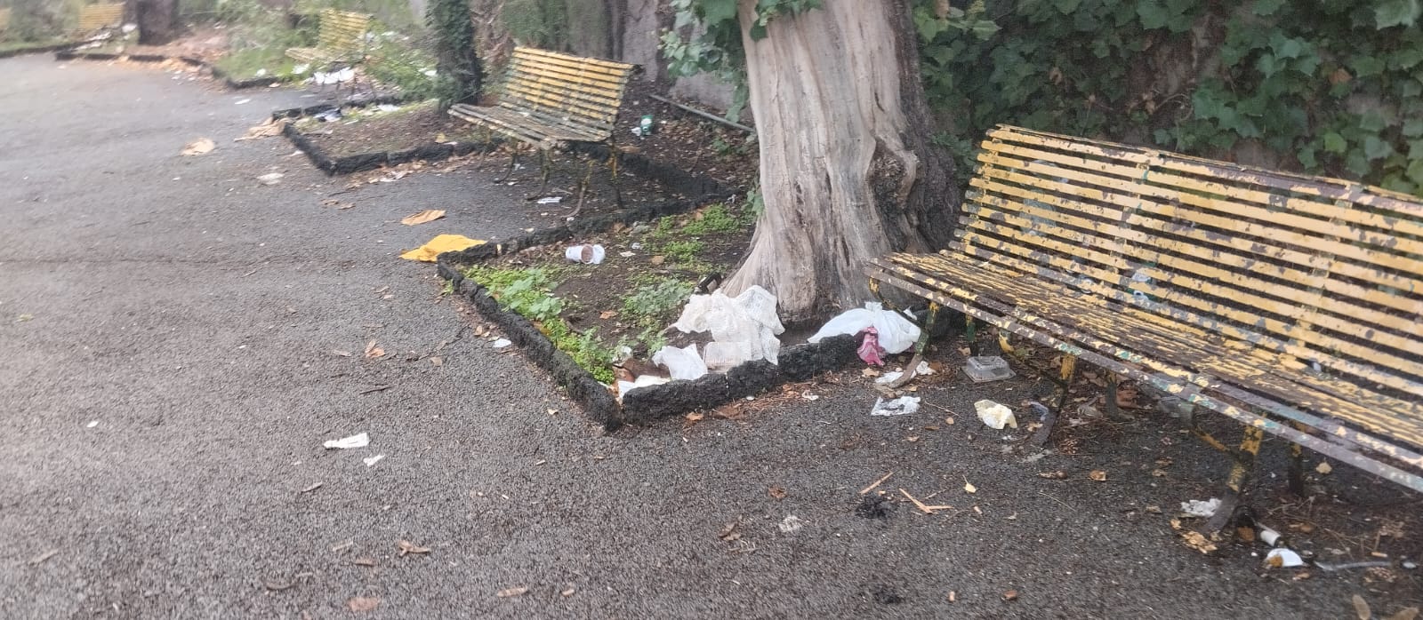 Paternò, nuove segnalazioni sullo stato della villa comunale: “Ogni giorno è sempre peggio”