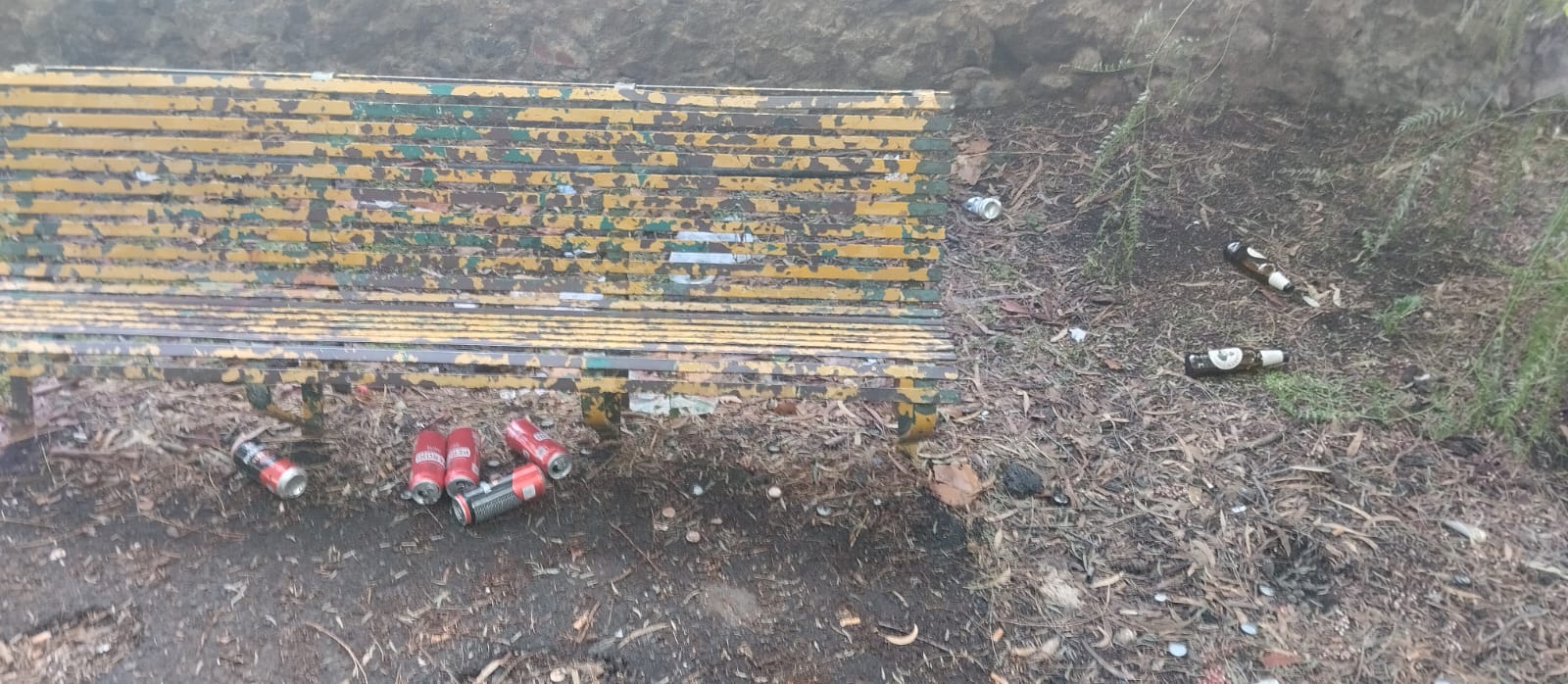 Paternò, nuove segnalazioni sullo stato della villa comunale: “Ogni giorno è sempre peggio”