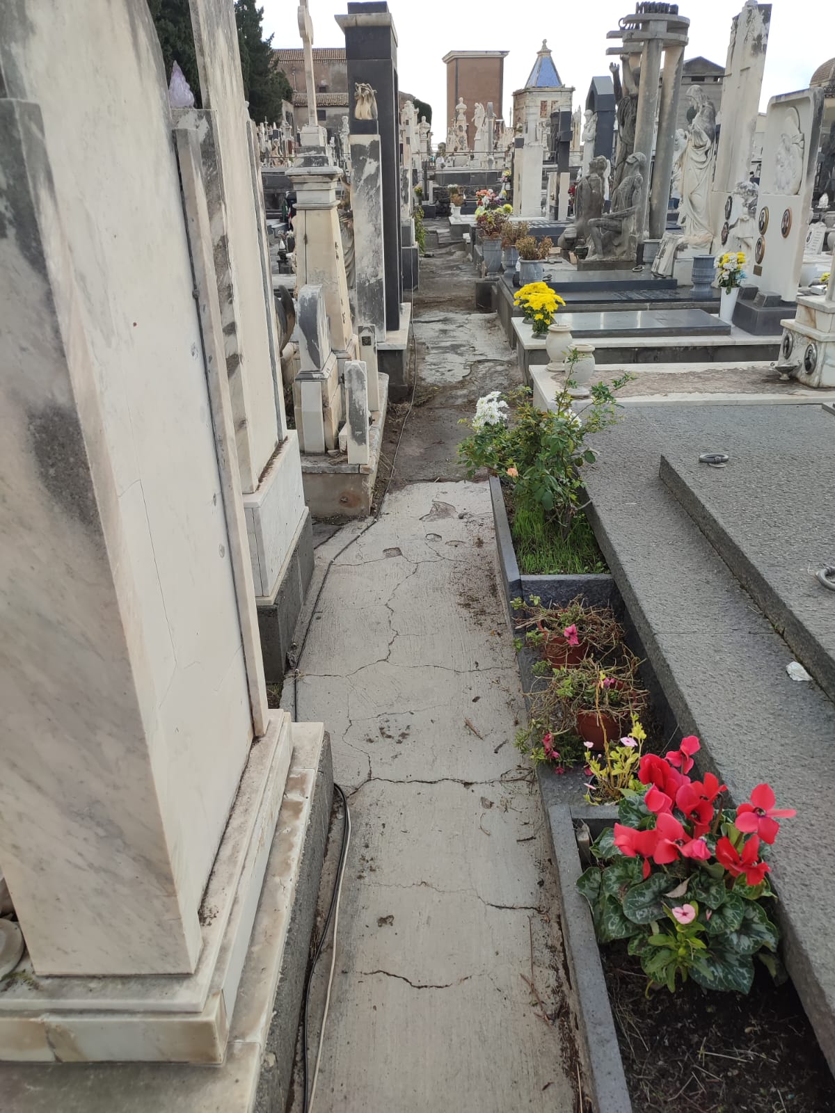 Cimitero Monumentale di Paternò: iniziati i lavori, l’assessore Gulisano annuncia messa in sicurezza e demolizione delle tombe pericolanti