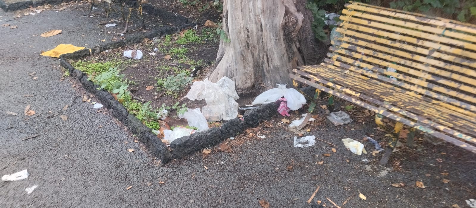 Paternò, nuove segnalazioni sullo stato della villa comunale: “Ogni giorno è sempre peggio”