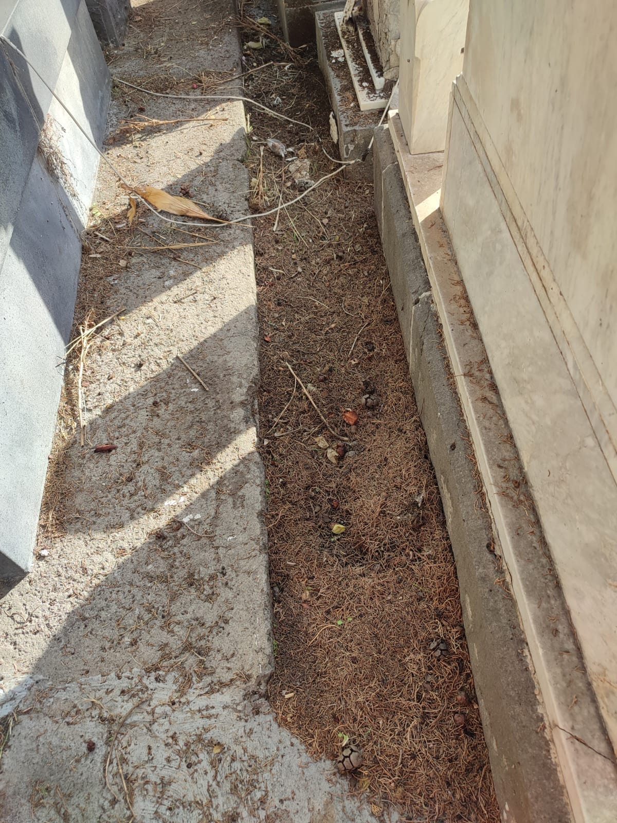 Cimitero Monumentale di Paternò: iniziati i lavori, l’assessore Gulisano annuncia messa in sicurezza e demolizione delle tombe pericolanti