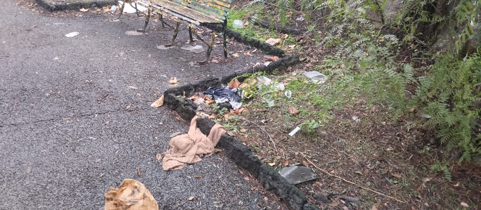 Paternò, nuove segnalazioni sullo stato della villa comunale: “Ogni giorno è sempre peggio”