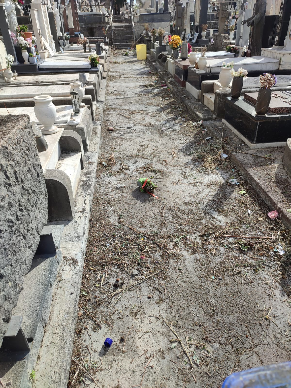 Cimitero Monumentale di Paternò: iniziati i lavori, l’assessore Gulisano annuncia messa in sicurezza e demolizione delle tombe pericolanti