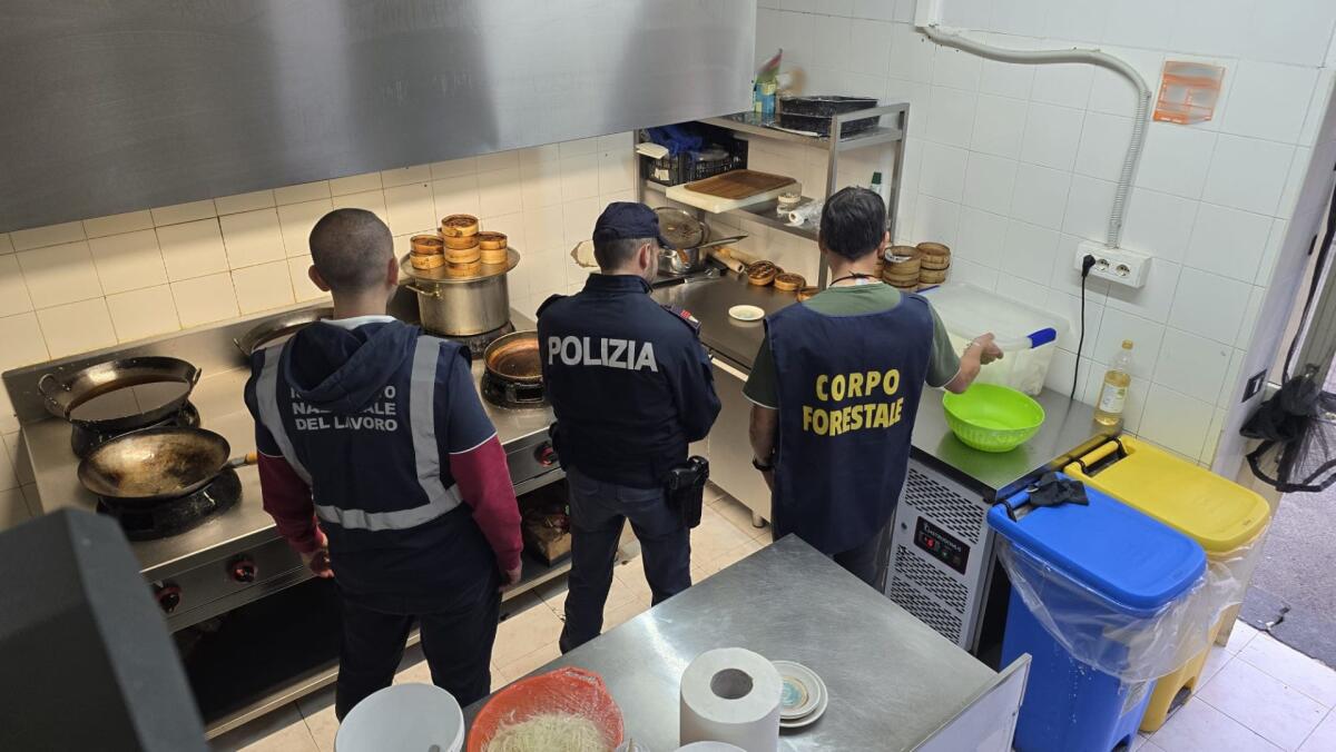 Paternò, maxi-operazione: sequestrati 80 kg di alimenti in ristorante e 20mila euro di multe - 