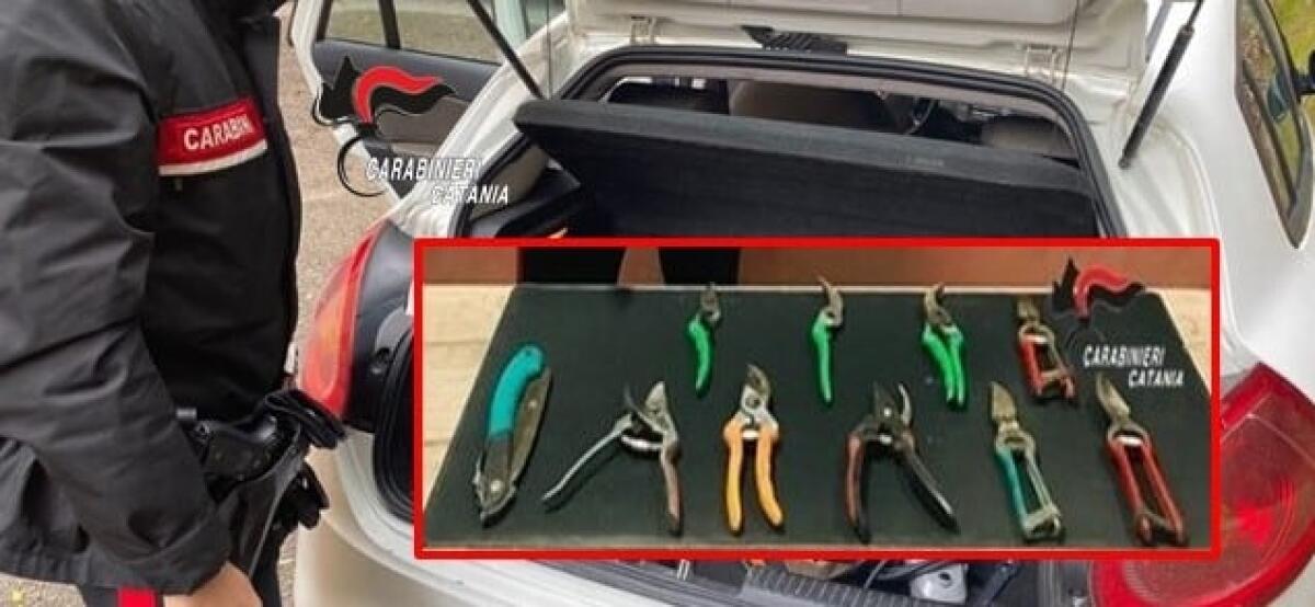 San Cono, aggredisce l’ex genero con una forbice da potatura: 62enne denunciato - 