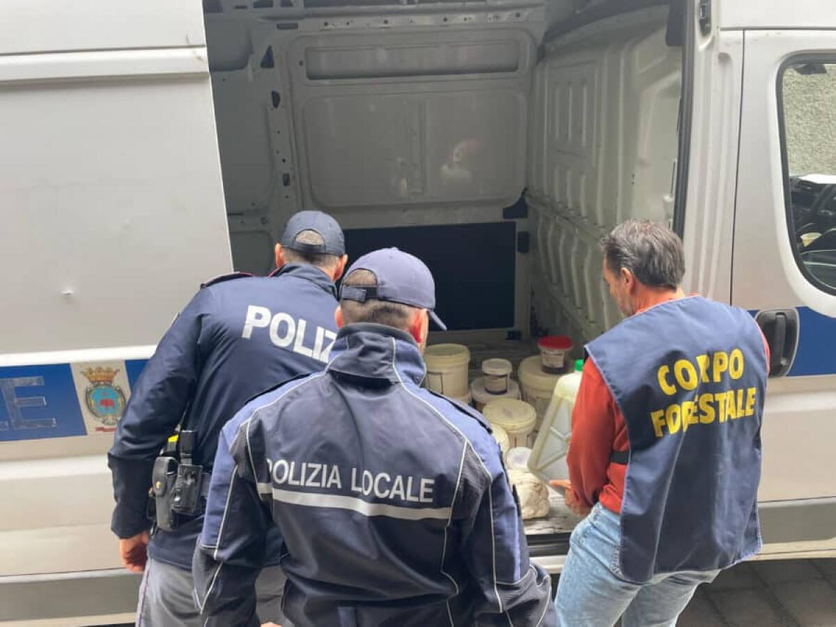 Catania, blitz interforze in negozi e panifici: sequestrati 900 kg di zucchero e 250 kg di frutta - 