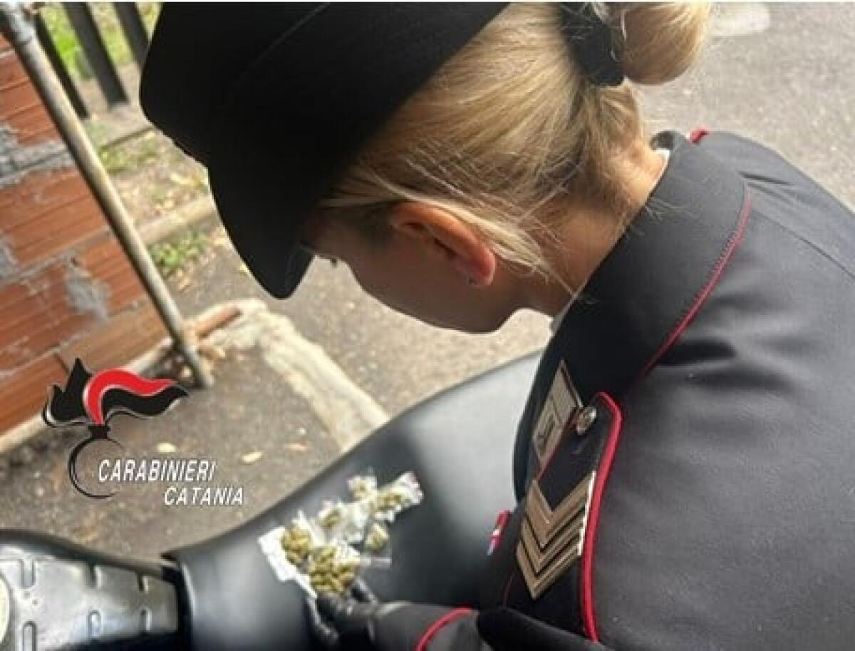 Piano Tavola, 18enne denunciato: trovate dosi di marijuana e contanti nello scooter - 