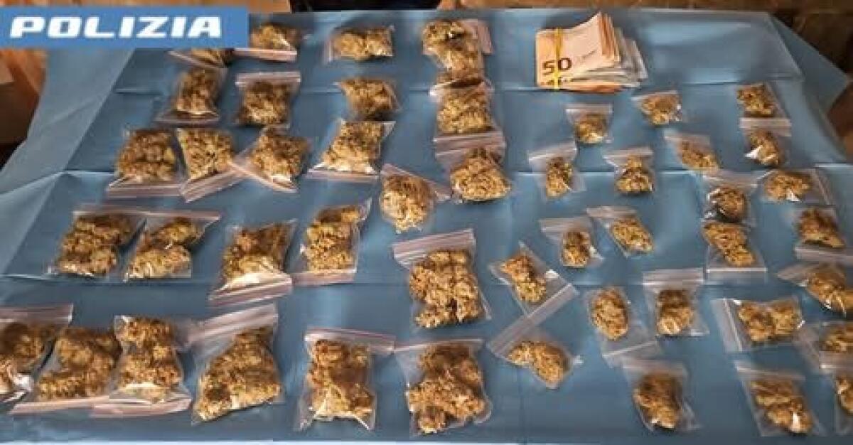 CATANIA. 16enne trovato con 174 grammi di marijuana e un fucile: arrestato - 