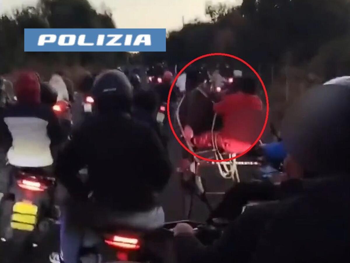 Camporotondo Etneo, scoperta corsa clandestina con cavalli: denunciati due fantini - 