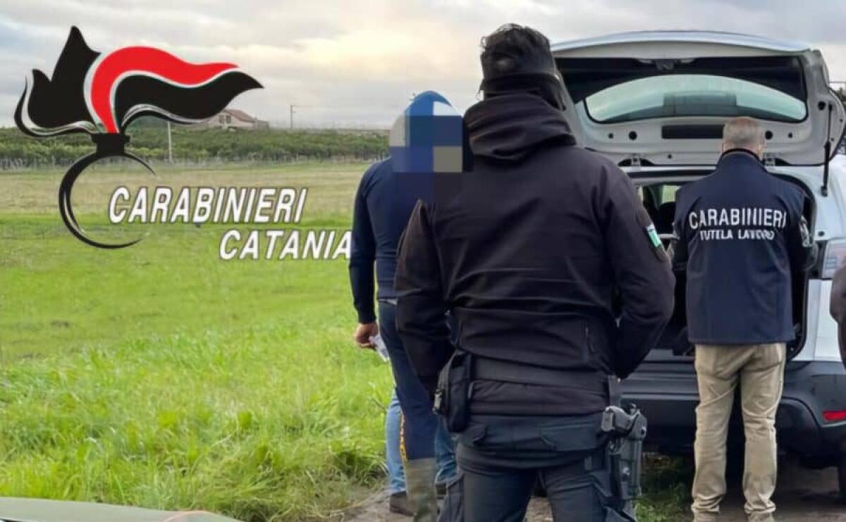 Scoperti lavoratori in nero e irregolarità: blitz dei Carabinieri a Scordia e Mineo - 