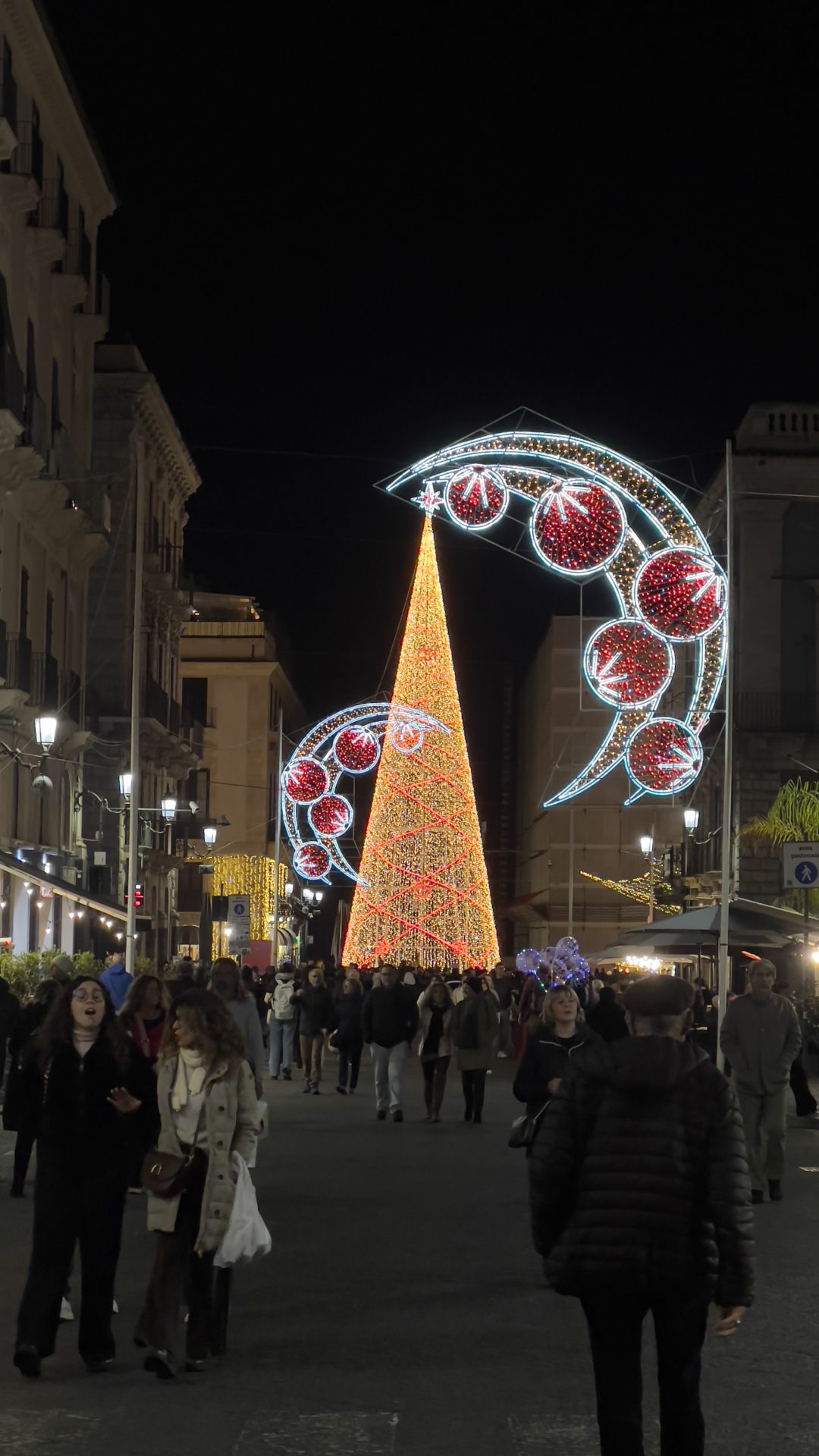 Ventidue metri di magia: acceso l’albero di Natale in piazza Università a Catania