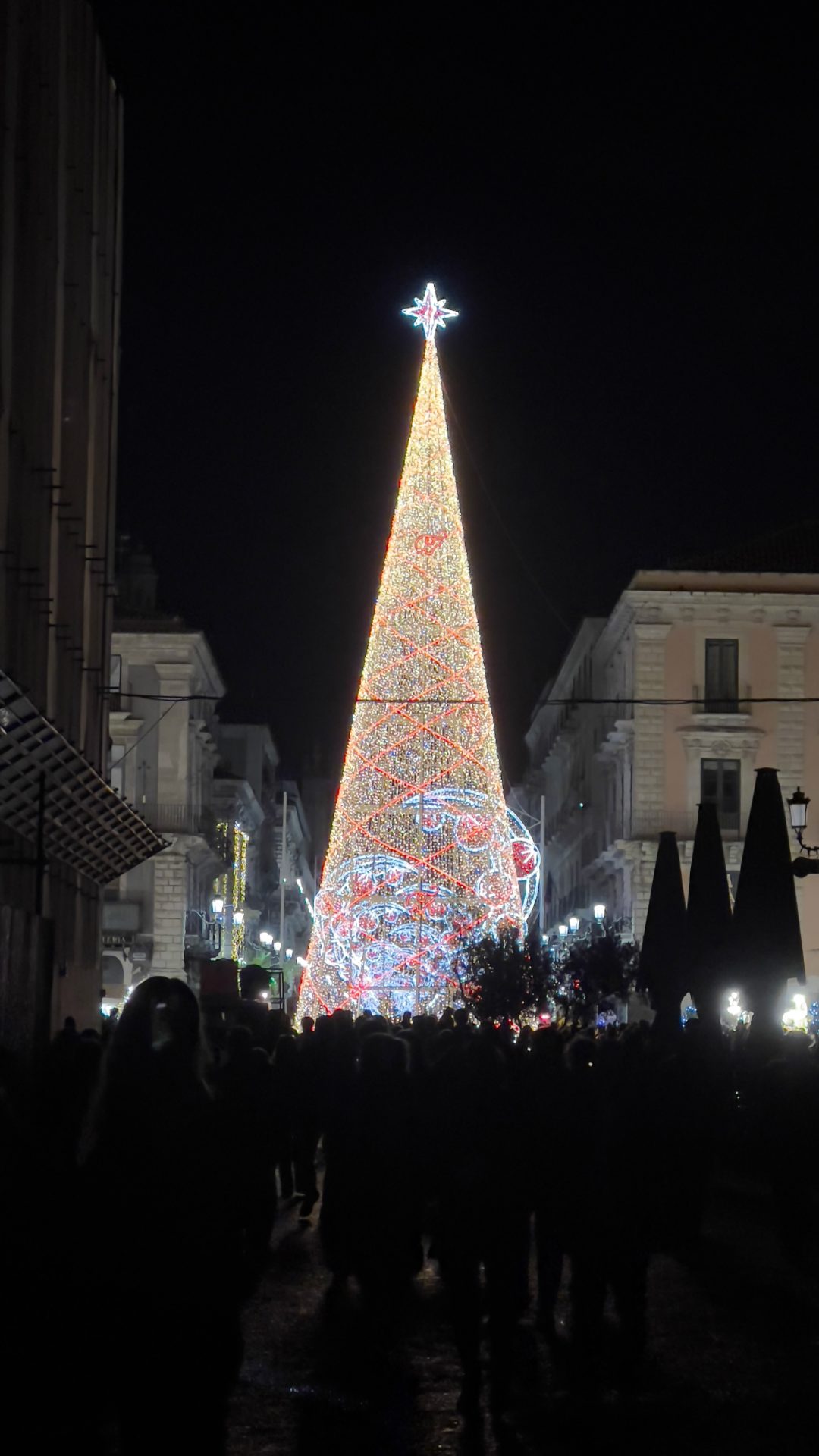 Ventidue metri di magia: acceso l’albero di Natale in piazza Università a Catania
