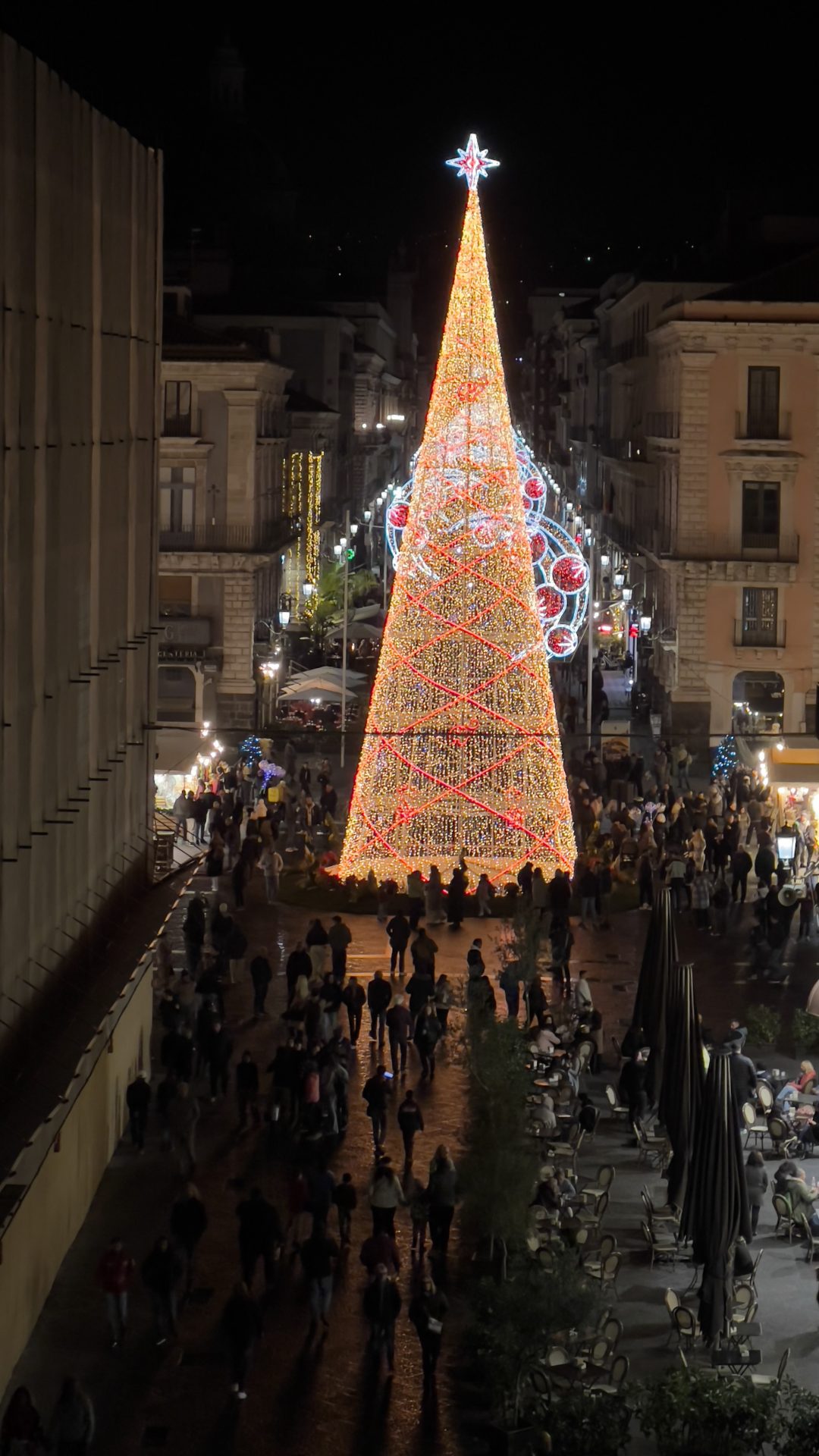 Ventidue metri di magia: acceso l’albero di Natale in piazza Università a Catania
