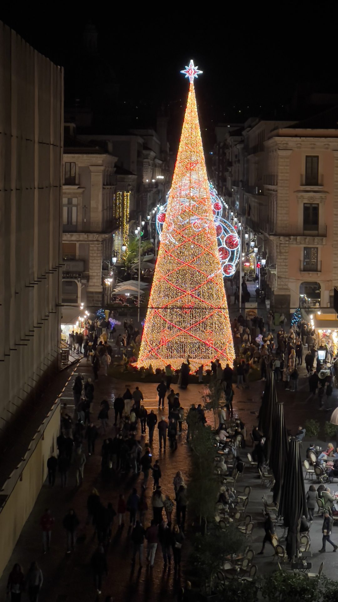 Ventidue metri di magia: acceso l’albero di Natale in piazza Università a Catania