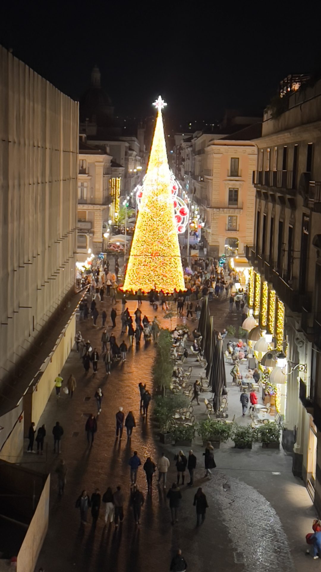 Ventidue metri di magia: acceso l’albero di Natale in piazza Università a Catania