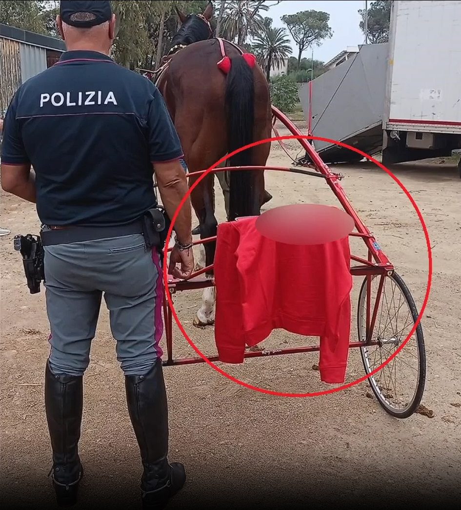 Camporotondo Etneo, scoperta corsa clandestina con cavalli: denunciati due fantini