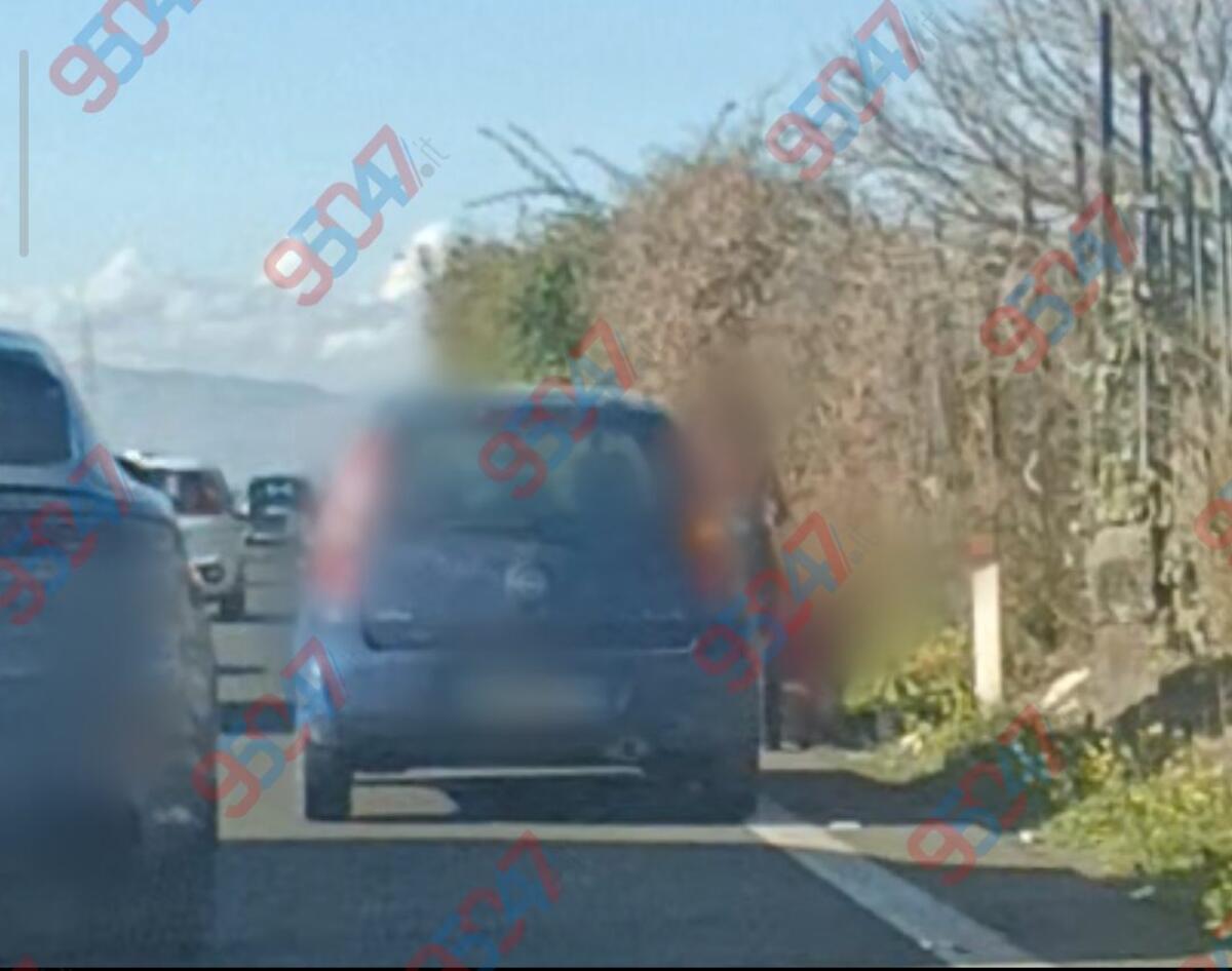 Superstrada, cane investito e  ferito: lunghe code verso Paternò - 