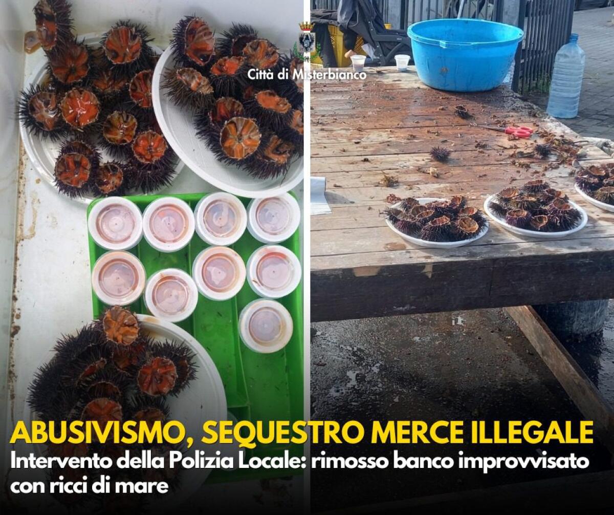 Misterbianco, banco abusivo di ricci di mare a Lineri: merce sequestrata e distrutta - 