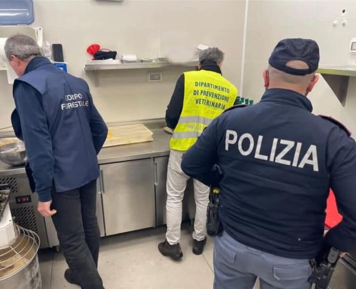 Blitz della Polizia a Catania: sequestri, multe e 500 kg di arance sospette - 