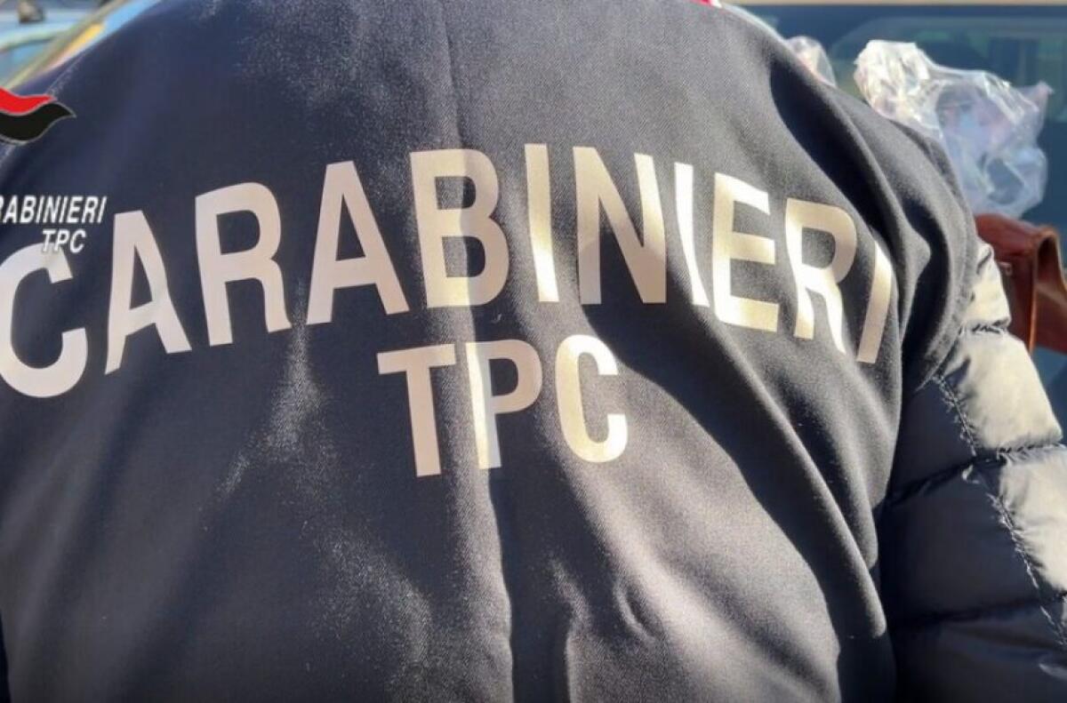 Maxiblitz dei Carabinieri in Sicilia contro il traffico illecito di beni culturali: 45 arresti - 